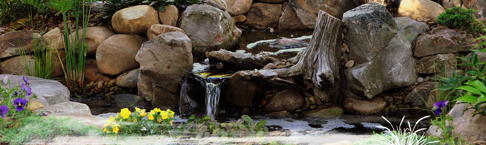 Landscape Design In Jacksonville Fl Landscaping Hardscapes Water Landscape Design In Jacksonville Fl Landscaping Hardscapes Water Feature