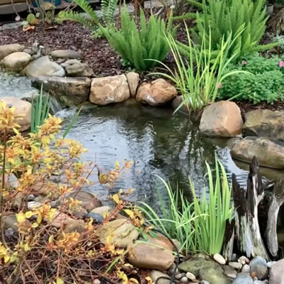 pond clean out service