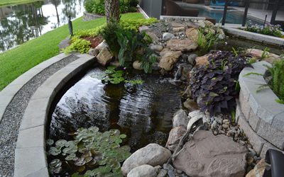 10 Step Pond Clean-Out Process