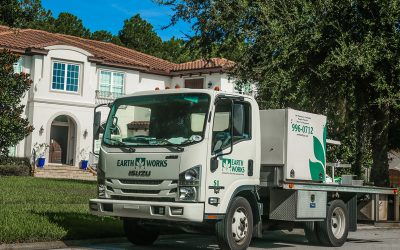 Warm Winter Weather Means More Pests Earlier