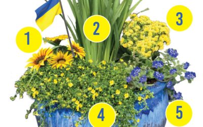 March Container Gardening Recipe 2022