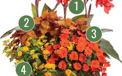 April Container Gardening Recipe 2022