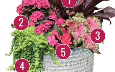 May Container Gardening Recipe 2022