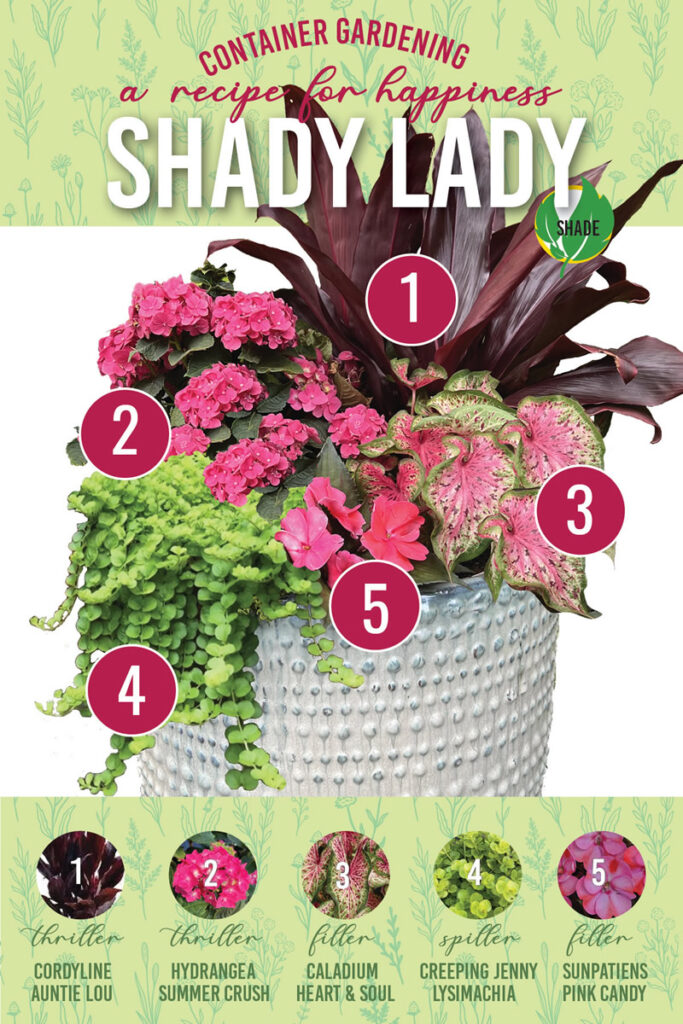 May Container Gardening Recipe 683x1024