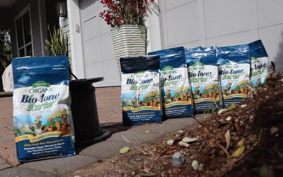 May Lawn And Garden Tips 2022