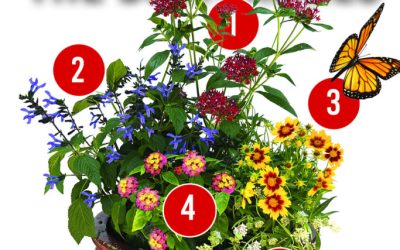 June Container Gardening Recipe 2022