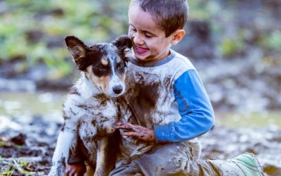 Tips for Good Drainage