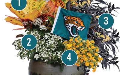 September Container Gardening Recipe 2022