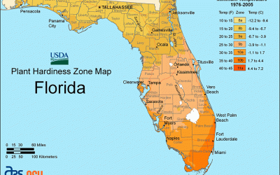 Know Your Plant’s Cold Tolerance