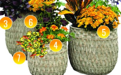 October Container Gardening Recipe 2022