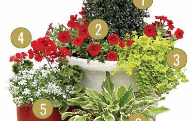 November Container Garden Recipe 2022