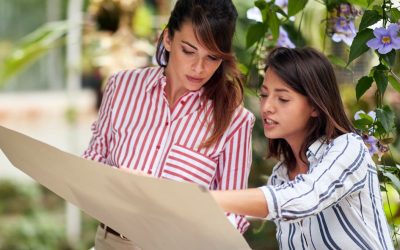 Online Landscape Design Companies Pros and Cons