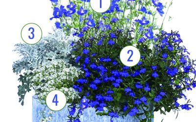 January Container Gardening Recipe 2023