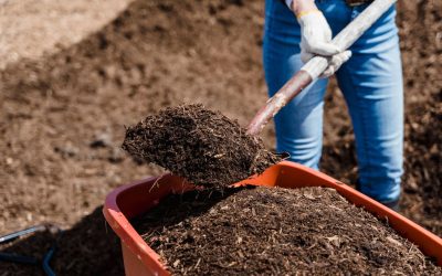 February Lawn, Garden, and Landscaping Tips 2023