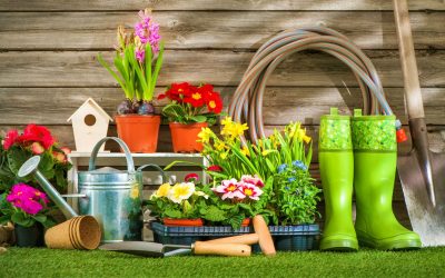 Lawn & Garden Tips March 2025