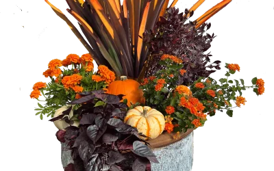 October Container Gardening Recipe 2023