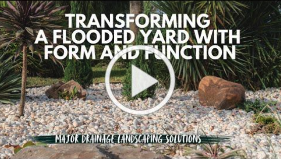 Form & Function Thumb