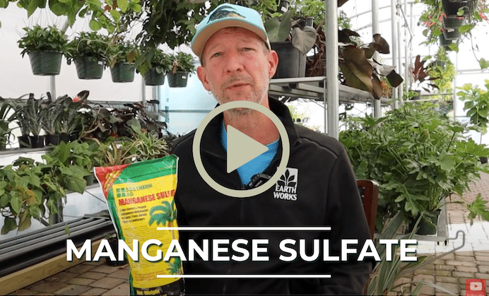 Manganese sulfate video of 7. (8.25 x 5 in)
