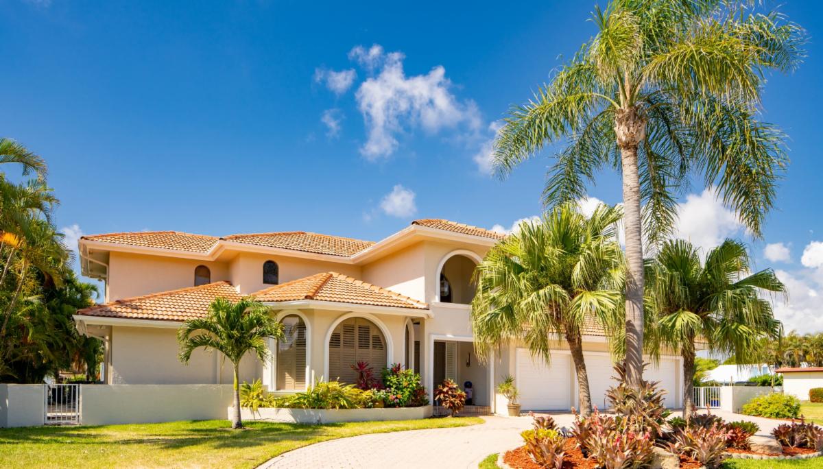 Palms in front yard