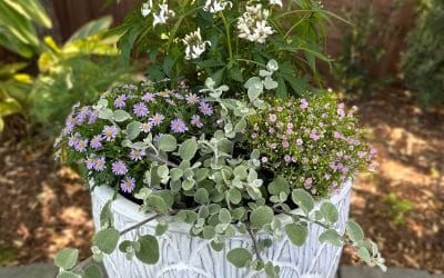 March Container Gardening Recipe 2025