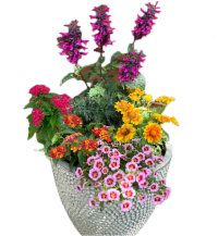 Pollinator Pot 1