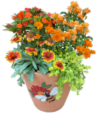 Pollinator Pot 2