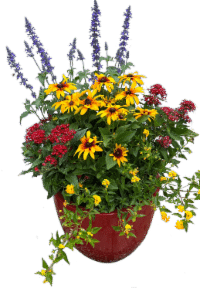 Popllinator Pot 3