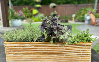 June Container Gardening Recipe 2025