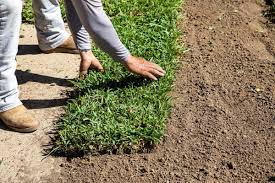 laying sod