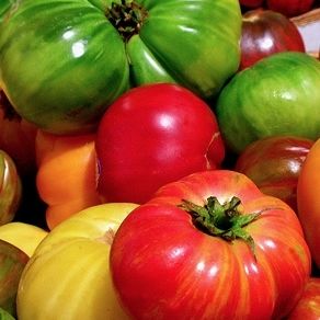 tomato