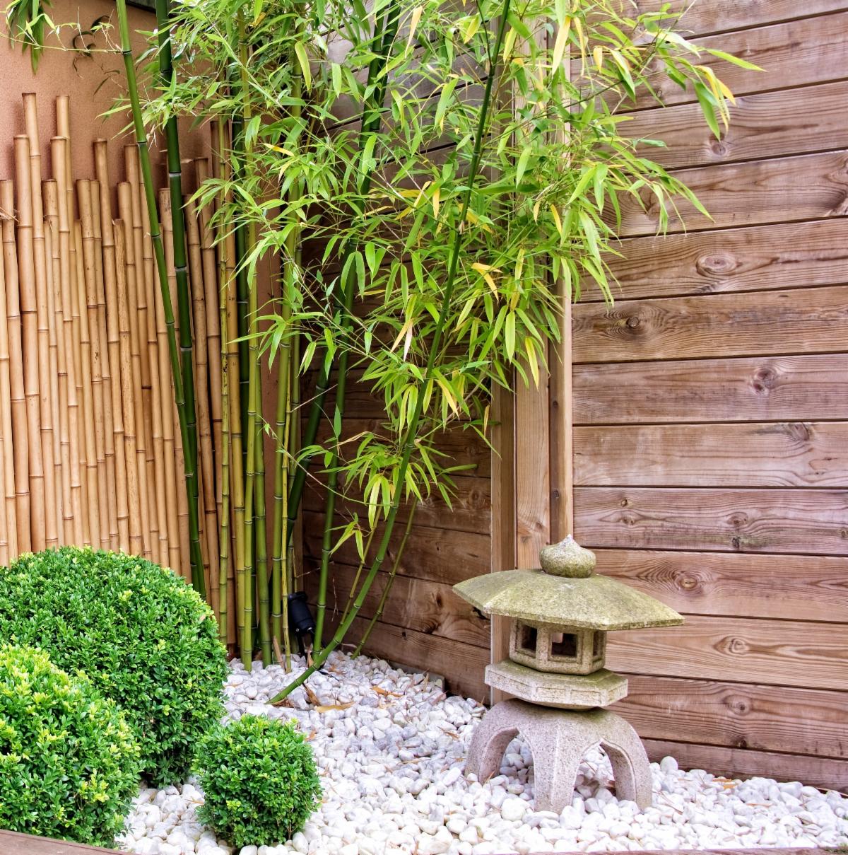 Asian garden
