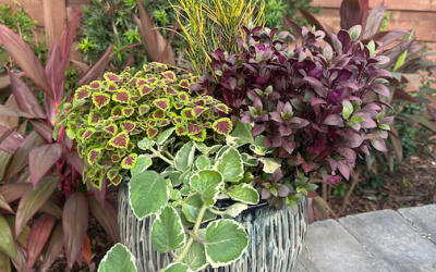 September Container Gardening Recipe 2025