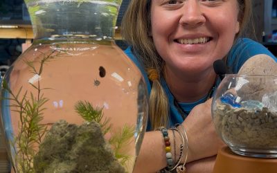 August Container Gardening Recipe 2025