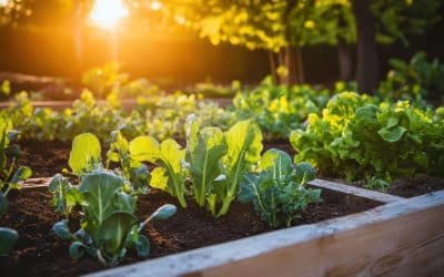 Planning for Cool-Weather Veggies & Herbs in Northeast Florida