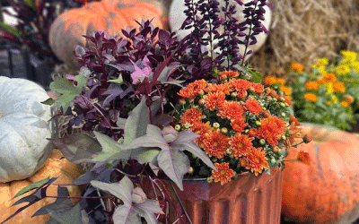 October Container Gardening Recipe 2025