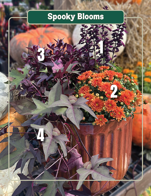 Spooky blooms copy Spooky blooms copy