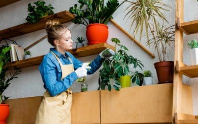 Foliar Feeding: The Garden Shortcut for Healthier Plants