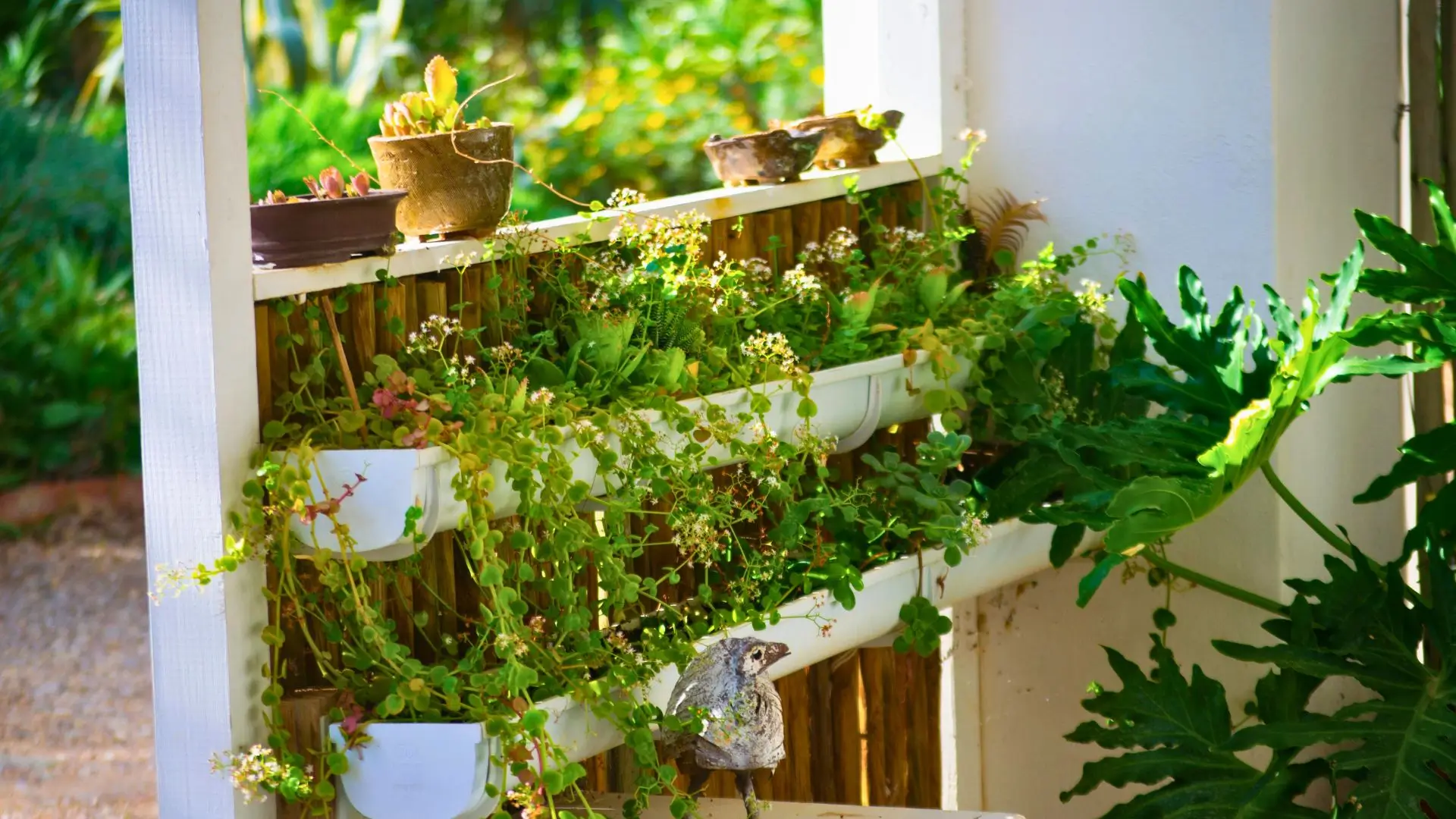 Vertical garden with wall planters and hanging plants maximizing space in a small backyard