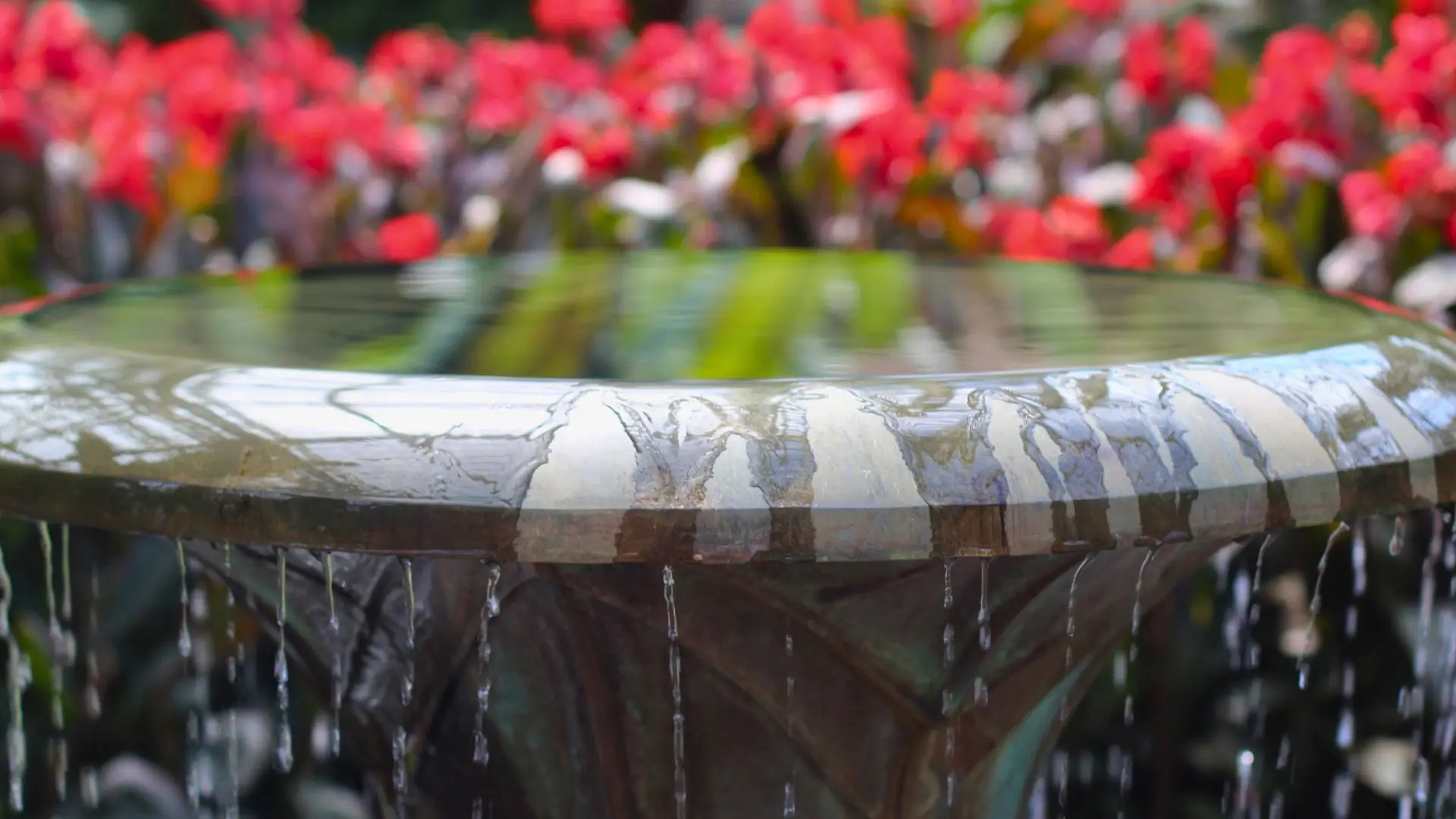 Small water feature fitting into a tight corner of a compact backyard