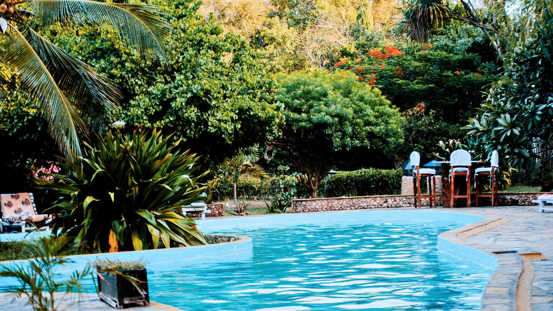 Pool surrounded by palms, lush tropical plants, and flowering trees.