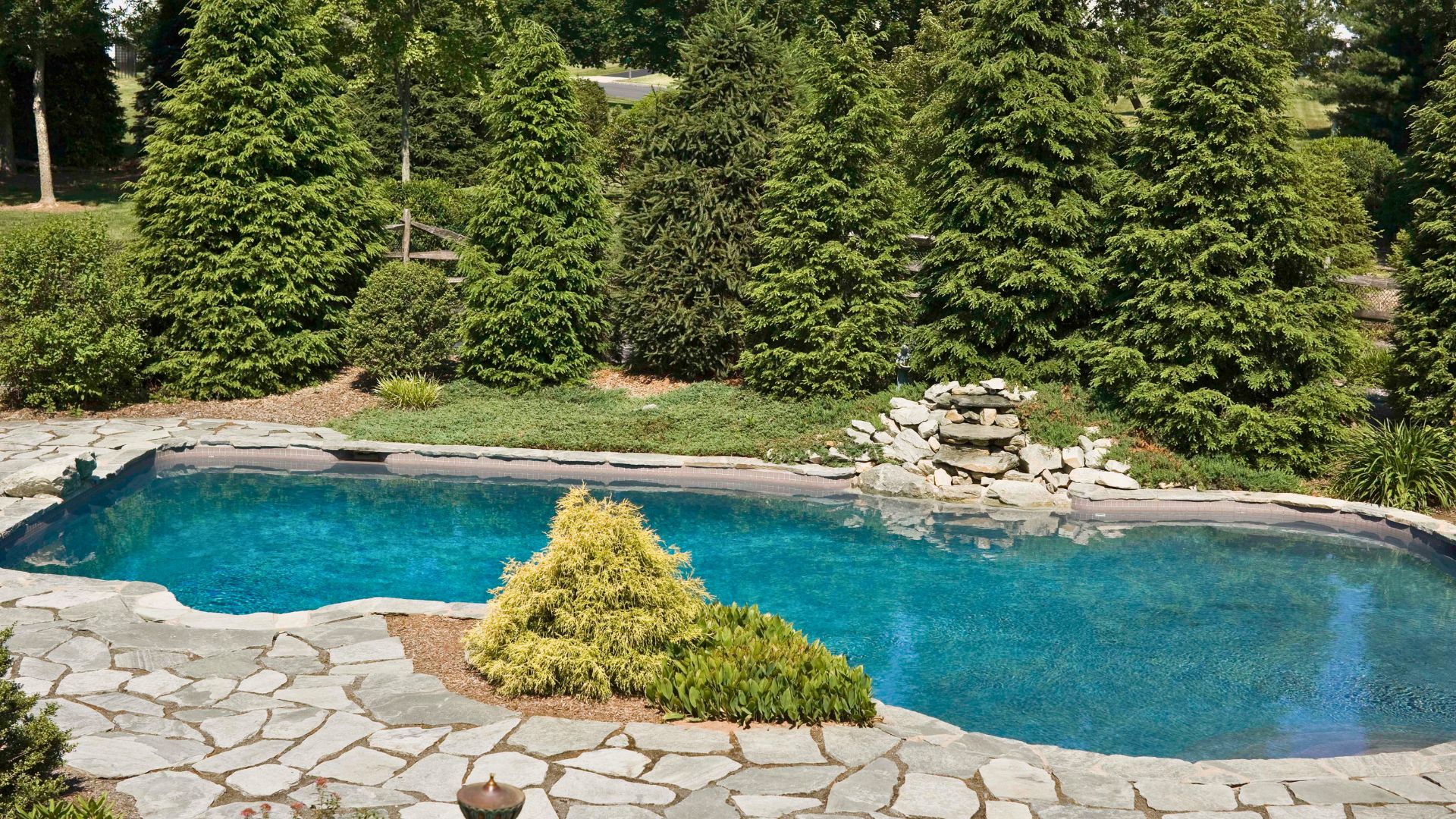 Pool with natural stone deck and a row of tall evergreen trees providing privacy.
